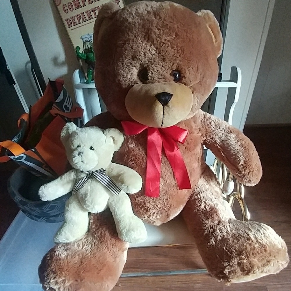 Big and.little teddy bears.